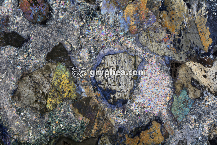 Métagabbro à Glaucophane LPA x3,5 - gryphea.com